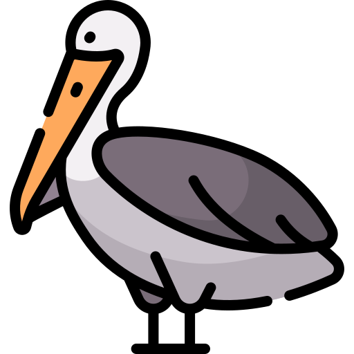 Pelican